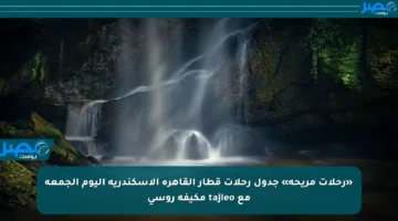 «رحلات مريحة» جدول رحلات قطار القاهرة الإسكندرية اليوم الجمعة مع tajleo مكيفة روسي